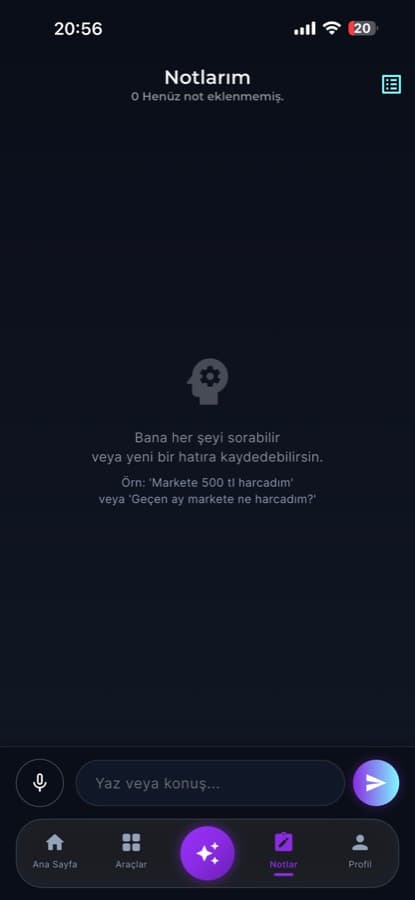 Akıllı notlar ve hatıra — yaz veya konuş